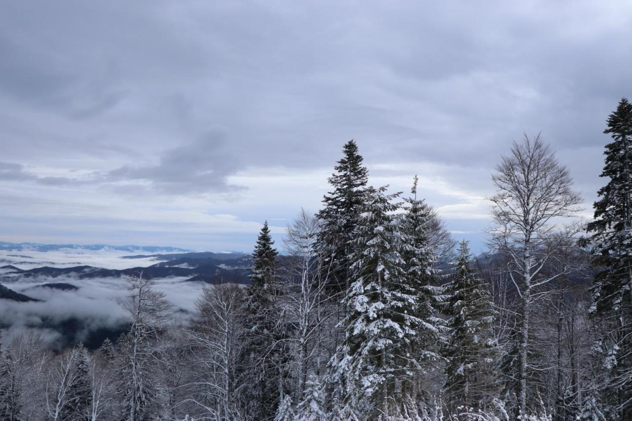 Apartmani Vidik - Groodvy House Jahorina Zewnętrze zdjęcie